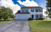 48 White Birch_2